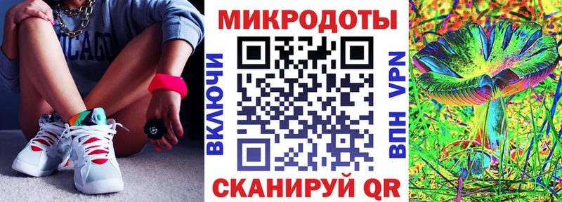 Псилоцибиновые грибы Psilocybe Хасавюрт