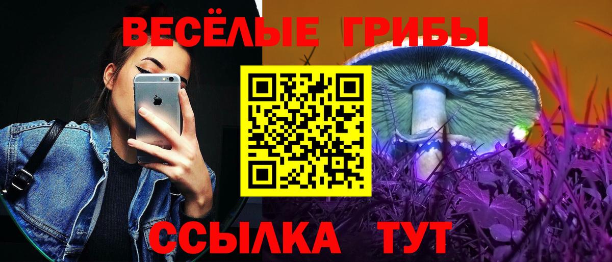 Псилоцибиновые грибы Psilocybine cubensis  Вход с VPN  Хасавюрт 