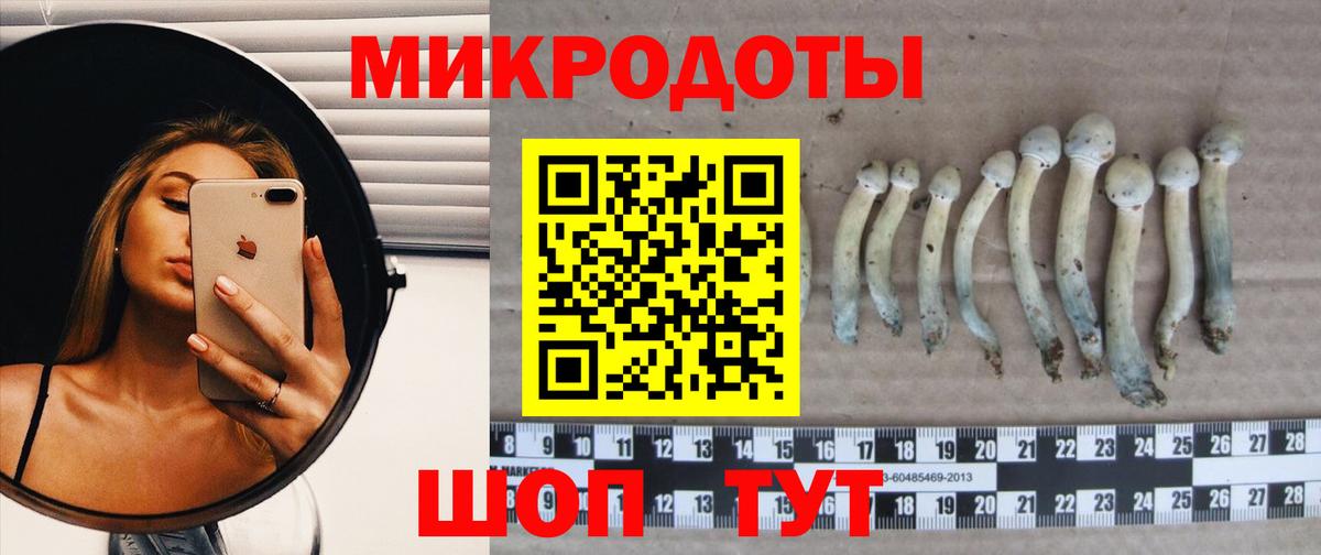 Псилоцибиновые грибы мухоморы Хасавюрт