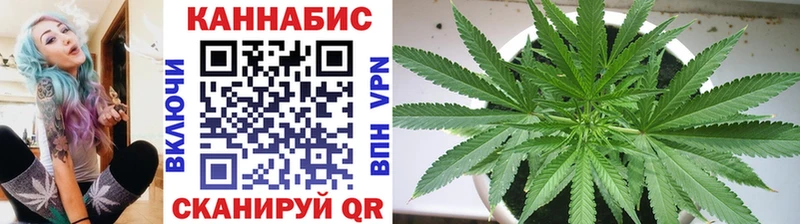 Конопля семена  Хасавюрт 